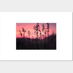 Colorful sunset and flowers Posters and Art